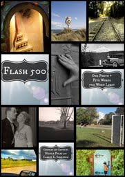 Flash 500 eBook cover